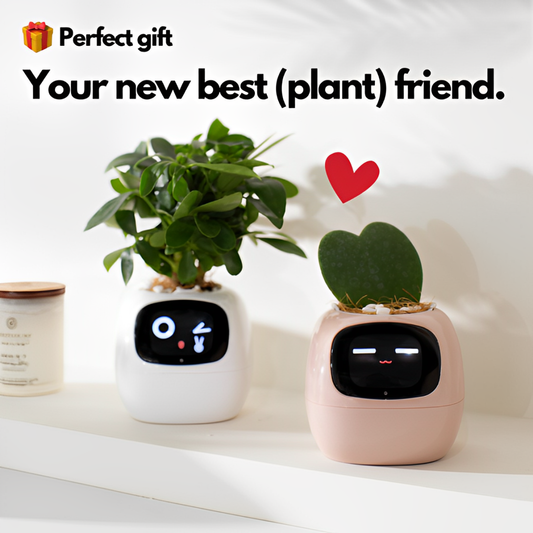 Emira Ivy Smart Planter